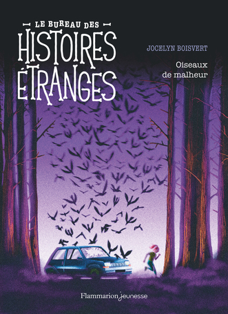 Oiseaux De Malheur De Jocelyn Boisvert Editions Flammarion Jeunesse